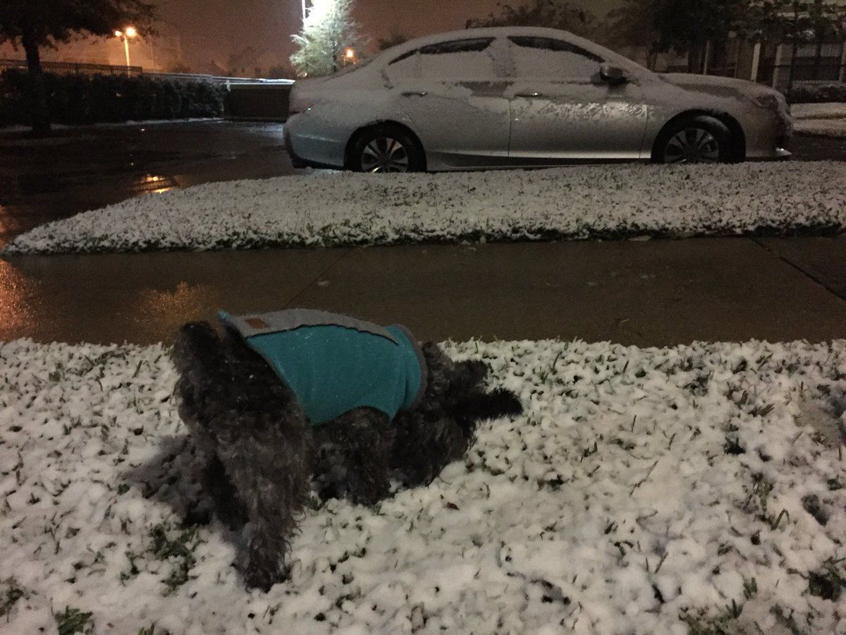 snow.jpg